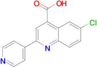 6-chloro-2-pyridin-4-ylquinoline-4-carboxylic acid