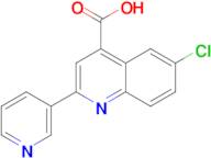 6-chloro-2-pyridin-3-ylquinoline-4-carboxylic acid