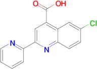 6-chloro-2-pyridin-2-ylquinoline-4-carboxylic acid