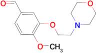 4-methoxy-3-(2-morpholin-4-ylethoxy)benzaldehyde