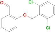 2-[(2,6-dichlorobenzyl)oxy]benzaldehyde