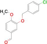 3-[(4-chlorobenzyl)oxy]-4-methoxybenzaldehyde