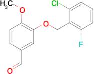 3-[(2-chloro-6-fluorobenzyl)oxy]-4-methoxybenzaldehyde