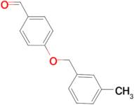 4-(3-Methylbenzyloxy)benzaldehyde