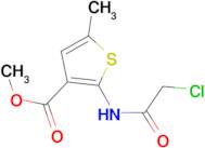 methyl 2-[(chloroacetyl)amino]-5-methylthiophene-3-carboxylate