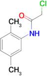 2-chloro-N-(2,5-dimethylphenyl)acetamide