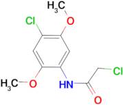 2-chloro-N-(4-chloro-2,5-dimethoxyphenyl)acetamide