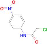 2-chloro-N-(4-nitrophenyl)acetamide