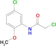 2-chloro-N-(5-chloro-2-methoxyphenyl)acetamide