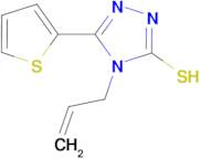 4-allyl-5-(2-thienyl)-4H-1,2,4-triazole-3-thiol