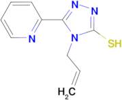 4-allyl-5-pyridin-2-yl-4H-1,2,4-triazole-3-thiol