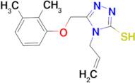 4-allyl-5-[(2,3-dimethylphenoxy)methyl]-4H-1,2,4-triazole-3-thiol