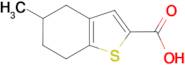 5-methyl-4,5,6,7-tetrahydro-1-benzothiophene-2-carboxylic acid