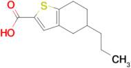 5-propyl-4,5,6,7-tetrahydro-1-benzothiophene-2-carboxylic acid