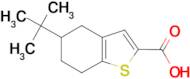 5-tert-butyl-4,5,6,7-tetrahydro-1-benzothiophene-2-carboxylic acid