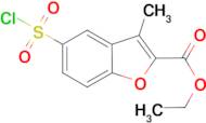 ethyl 5-(chlorosulfonyl)-3-methyl-1-benzofuran-2-carboxylate