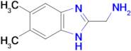 1-(5,6-dimethyl-1H-benzimidazol-2-yl)methanamine