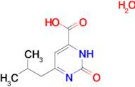 6-isobutyl-2-oxo-1,2-dihydro-4-pyrimidinecarboxylic acid hydrate