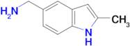 1-(2-Methyl-1H-indol-5-yl)methanamine