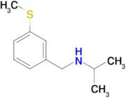 N-[3-(methylthio)benzyl]propan-2-amine