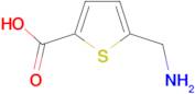 5-(aminomethyl)thiophene-2-carboxylic acid