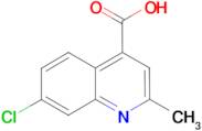 7-chloro-2-methylquinoline-4-carboxylic acid