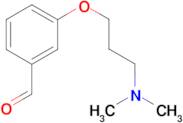 3-[3-(dimethylamino)propoxy]benzaldehyde