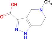 5-methyl-4,5,6,7-tetrahydro-2H-pyrazolo[4,3-c]pyridine-3-carboxylic acid