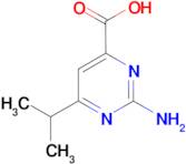 2-amino-6-isopropylpyrimidine-4-carboxylic acid