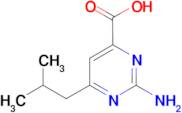 2-amino-6-isobutylpyrimidine-4-carboxylic acid