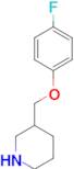 3-[(4-fluorophenoxy)methyl]piperidine