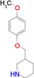 3-[(4-methoxyphenoxy)methyl]piperidine