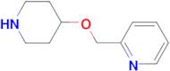 2-[(piperidin-4-yloxy)methyl]pyridine