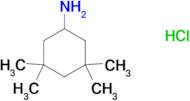 (3,3,5,5-tetramethylcyclohexyl)amine hydrochloride