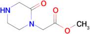 methyl (2-oxopiperazin-1-yl)acetate hyrdochloride