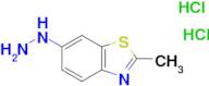 6-hydrazino-2-methyl-1,3-benzothiazole dihydrochloride