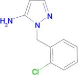 1-(2-chlorobenzyl)-1H-pyrazol-5-amine