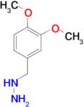 (3,4-dimethoxybenzyl)hydrazine