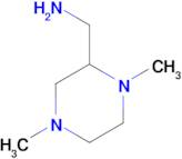 1-(1,4-dimethyl-2-piperazinyl)methanamine