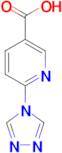 6-(4H-1,2,4-triazol-4-yl)nicotinic acid