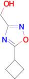 (5-cyclobutyl-1,2,4-oxadiazol-3-yl)methanol