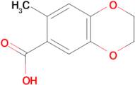 7-methyl-2,3-dihydro-1,4-benzodioxine-6-carboxylic acid