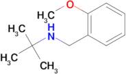 N-(2-methoxybenzyl)-2-methylpropan-2-amine