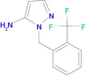 1-[2-(trifluoromethyl)benzyl]-1H-pyrazol-5-amine