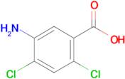5-amino-2,4-dichlorobenzoic acid