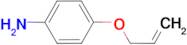 4-(allyloxy)aniline