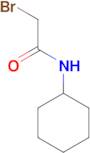 2-bromo-N-cyclohexylacetamide