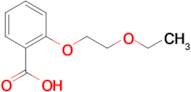 2-(2-ethoxyethoxy)benzoic acid