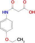 3-[(4-ethoxyphenyl)amino]-3-oxopropanoic acid