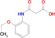 3-[(2-ethoxyphenyl)amino]-3-oxopropanoic acid